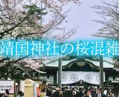 靖国神社　桜　混雑